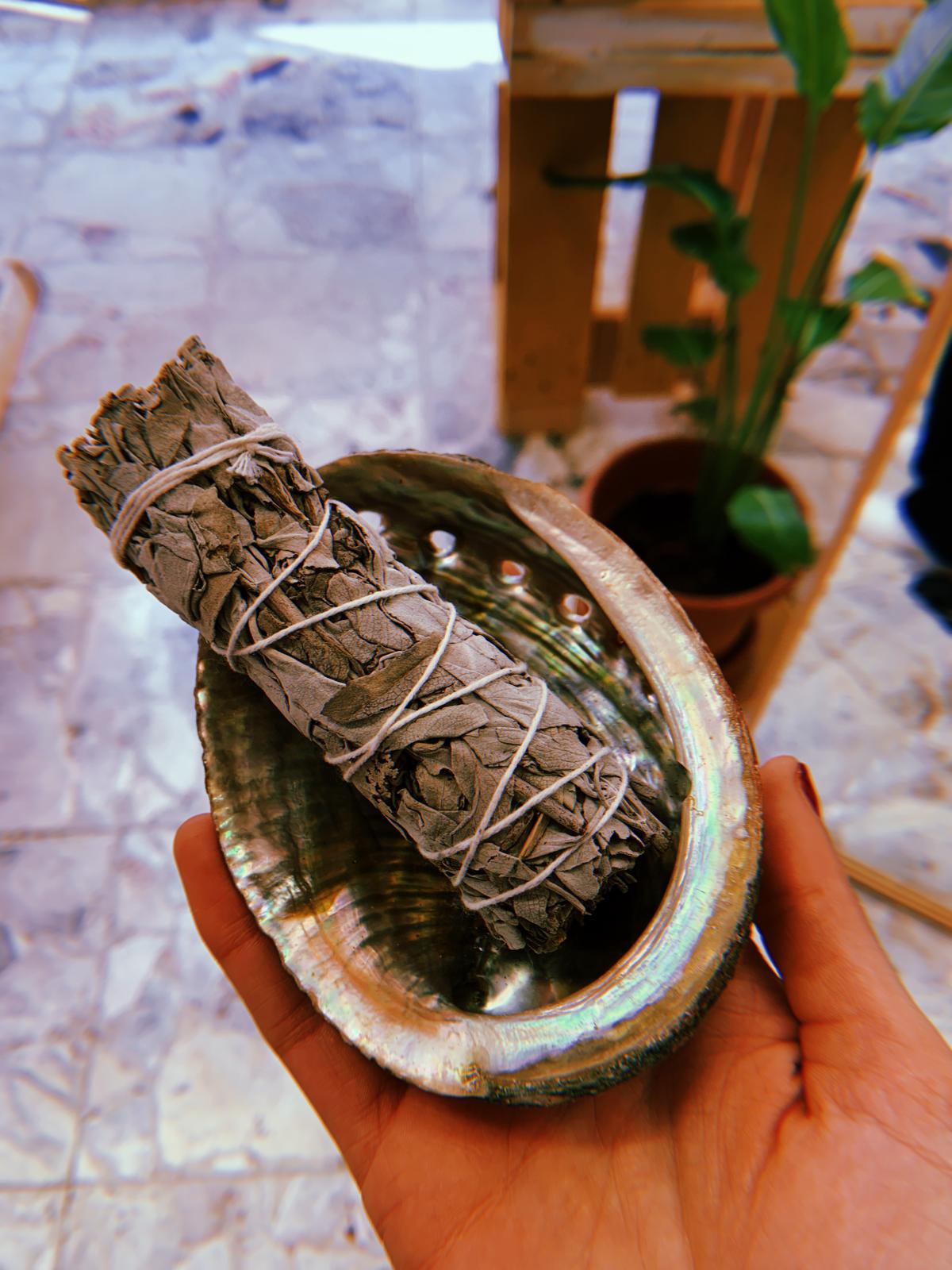 CONCHIGLIA DI ABALONE