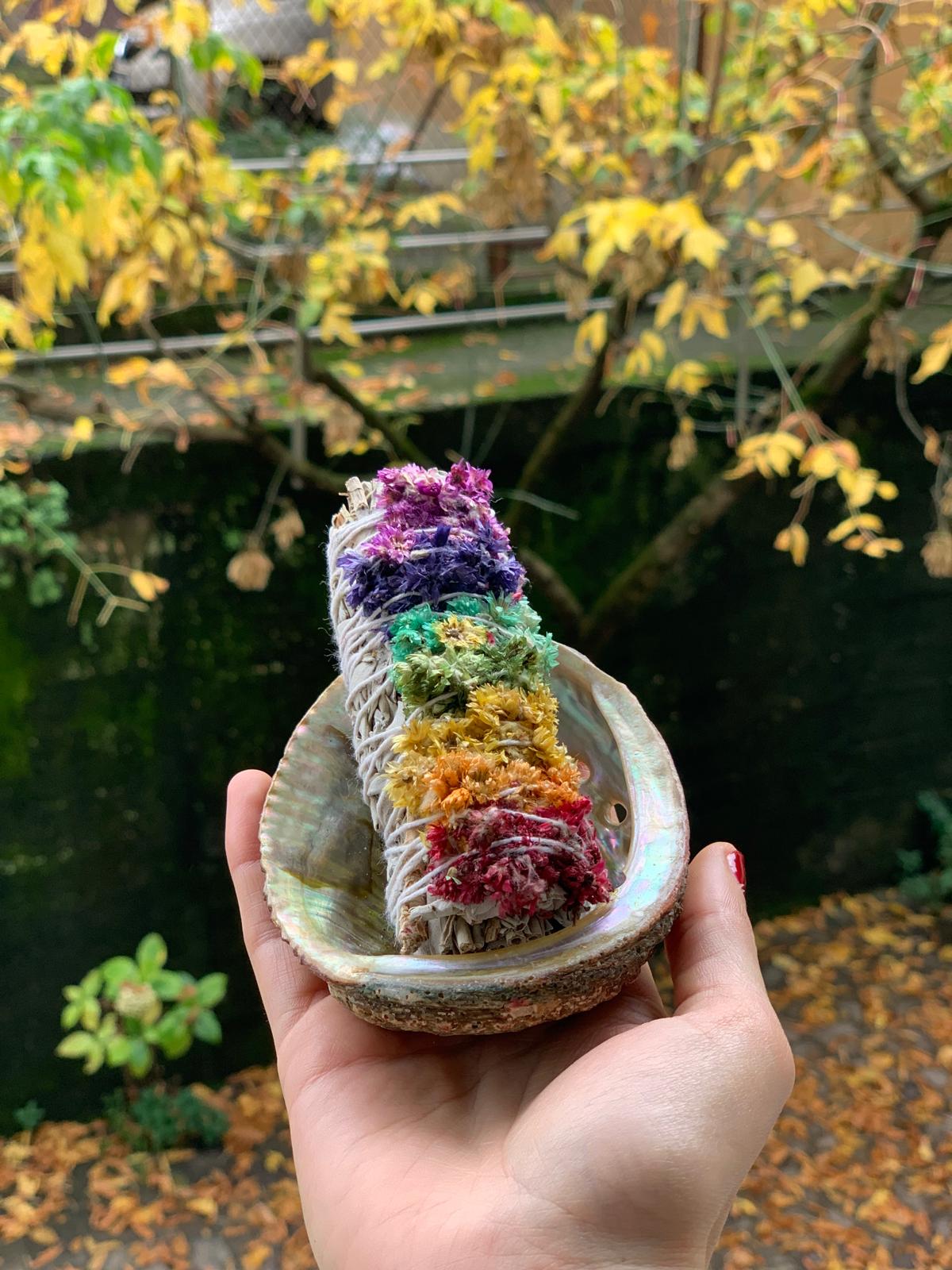 SMUDGE SALVIA BIANCA