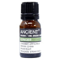 Organic Essential Oil 10ml - Zenzero